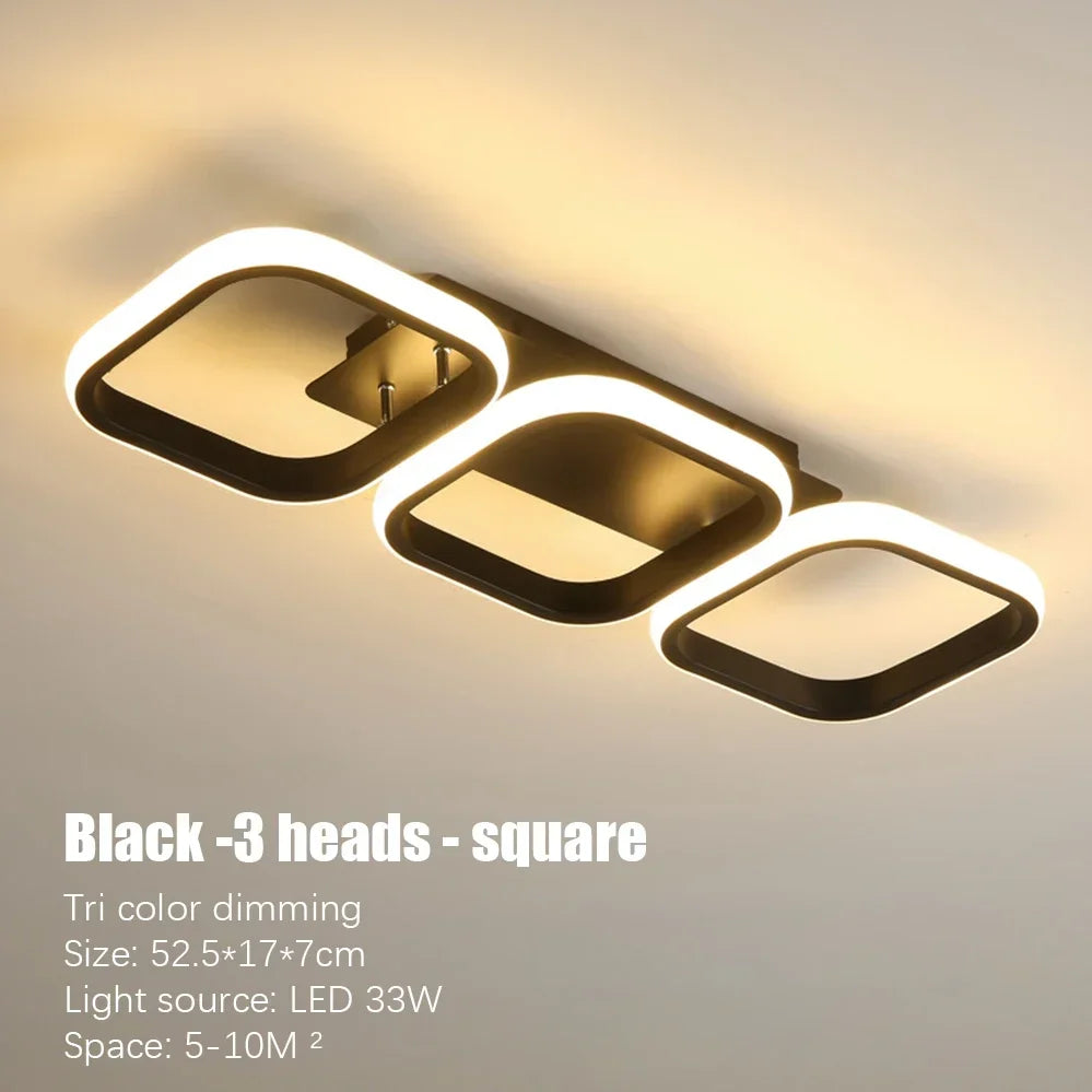 LED Ceiling Lamp Minimalist Home Decor Fixtures Modern LED Double Round Black Ceiling Lights White Light/warm Ligh/Neutral light