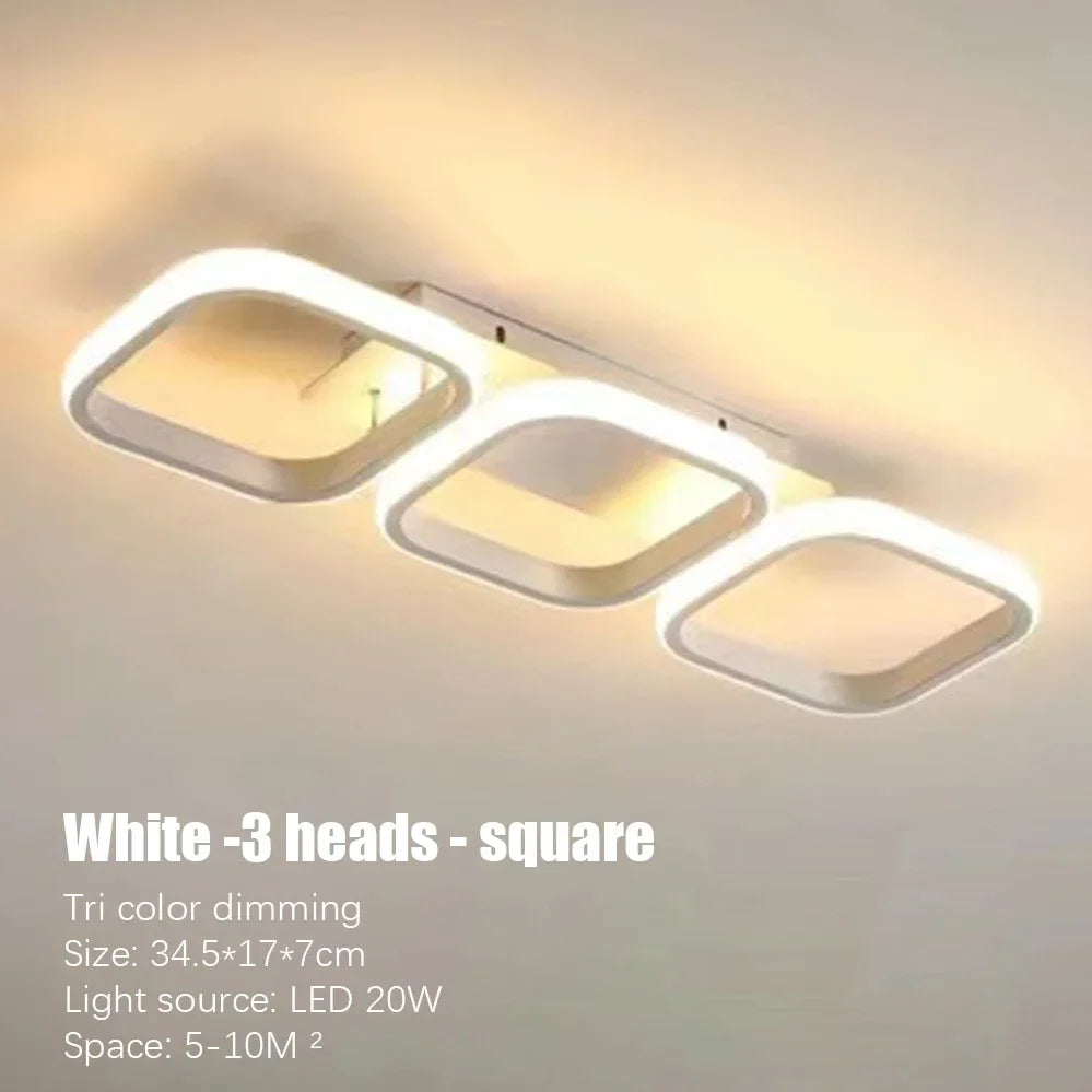 LED Ceiling Lamp Minimalist Home Decor Fixtures Modern LED Double Round Black Ceiling Lights White Light/warm Ligh/Neutral light