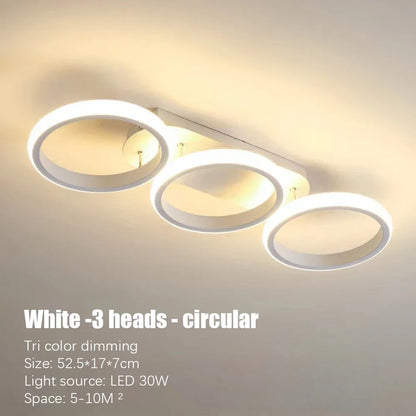 LED Ceiling Lamp Minimalist Home Decor Fixtures Modern LED Double Round Black Ceiling Lights White Light/warm Ligh/Neutral light