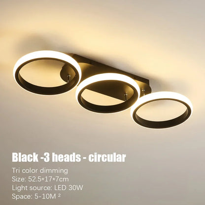 LED Ceiling Lamp Minimalist Home Decor Fixtures Modern LED Double Round Black Ceiling Lights White Light/warm Ligh/Neutral light